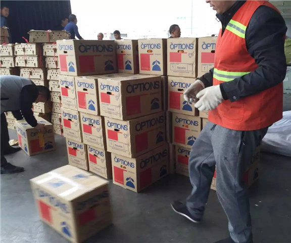 成都欣诚航空快递让东北的外婆，吃到了新鲜耙耙柑