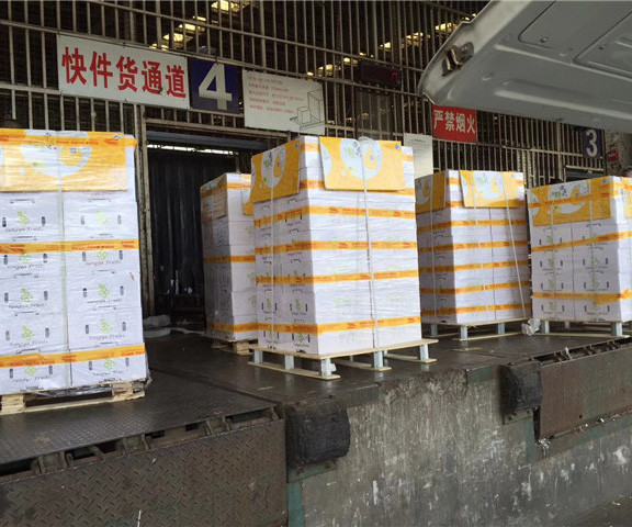 生鲜空运如何控温？